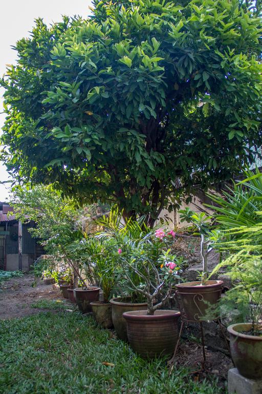 Cozy Mount Erskine Homestay George Town Ngoại thất bức ảnh